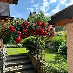 Marang Domki I Apartamenty